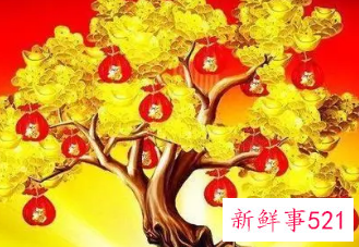 能带来财运的快手名女