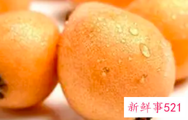 枇杷的功效与作用及营养价值