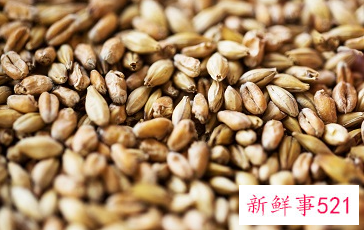 保护眼睛十大食物