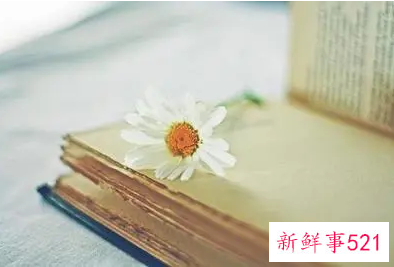 拒绝别人的经典说说