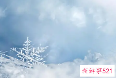梦见下雪白茫茫的一片是什么意思
