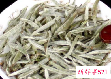 政和白茶和福鼎白茶的区别