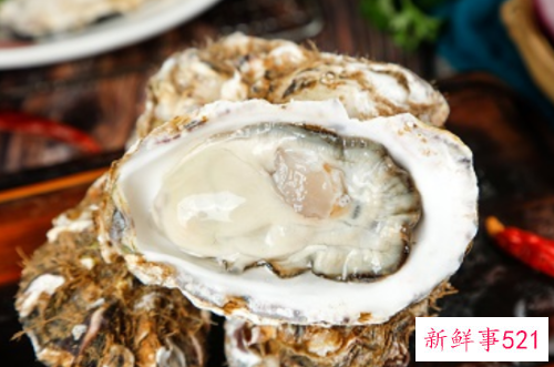 男人补精子最佳10食物