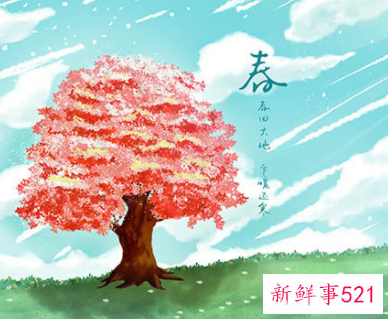 立春的日子好吗