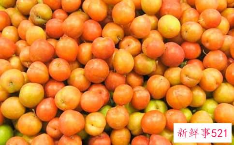 孕妇可以吃李子吗