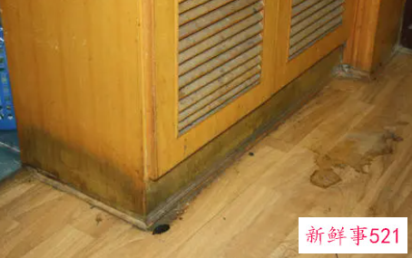 床头柜发霉怎么去除