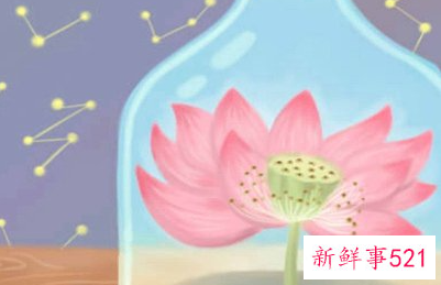 八种植物招财又旺宅盆栽