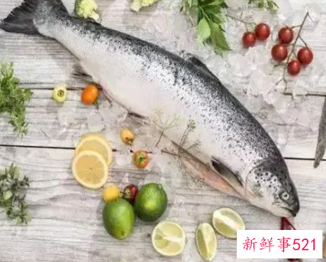 鱼不可与什么同食