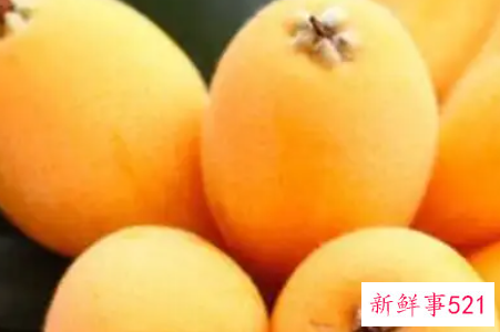 吃枇杷果的好处有哪些