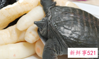 喜宴甲鱼代表什么