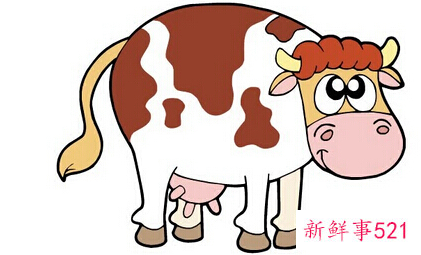 属鸡女最佳婚配属相最好