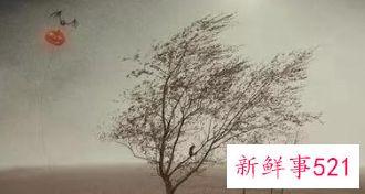 梦见和死人打交道预兆