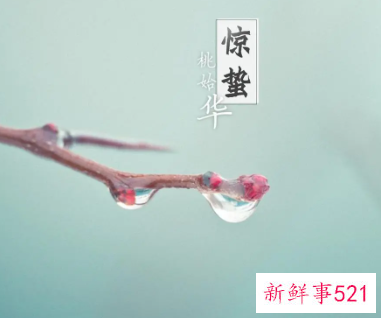 什么是节气美食