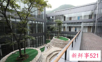 北京冬奥村人才公租房什么时候可以申请