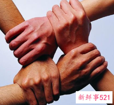 如何去打造一支有凝聚力的团队