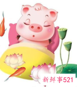 1983年属猪的幸运数字