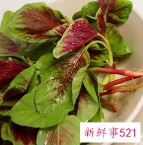 苋菜的功效与作用