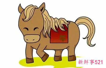 属马的和什么属相最配