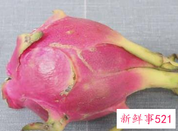 买火龙果时怎样挑才好吃