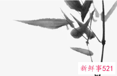 中国传统春节要做什么事情