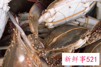 蒸螃蟹怎么吃法蘸料