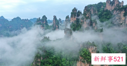 张家界首批隔离滞留游客返程