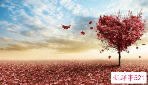 你的付出是否盲目美文欣赏