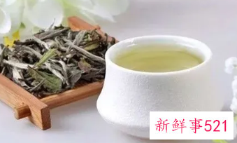 政和白茶和福鼎白茶的区别