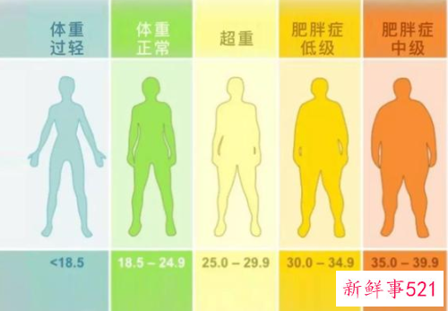 女性bmi指数19胖吗