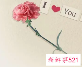 给喜欢的人送花怎么写寄语