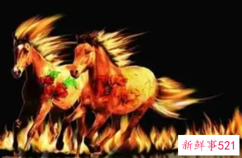 属马的和什么属相最配