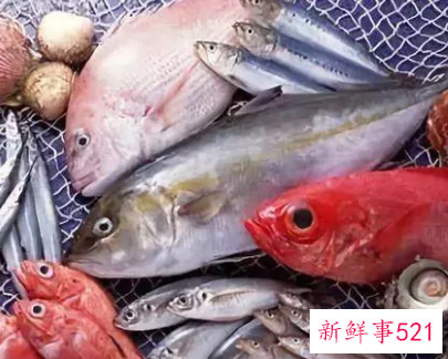 鱼不可与什么同食