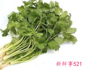 香菜又叫什么名字