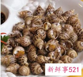 新鲜海螺怎么保存过夜