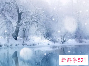 梦见下雪白茫茫的一片是什么意思