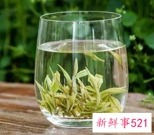 政和白茶和福鼎白茶的区别