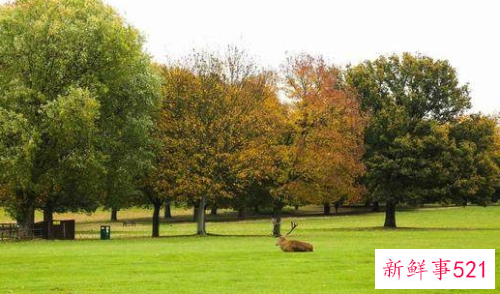 外出野餐带什么食物好