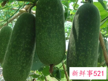 冬季美白吃什么