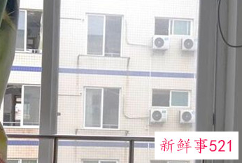 屋里总是一股怪味怎么消除