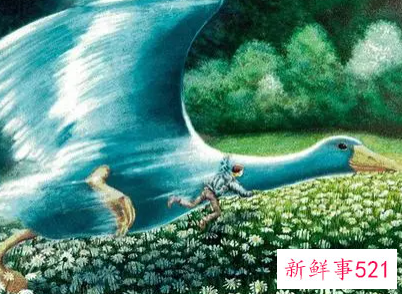 尼尔斯骑鹅旅行记读后感800字