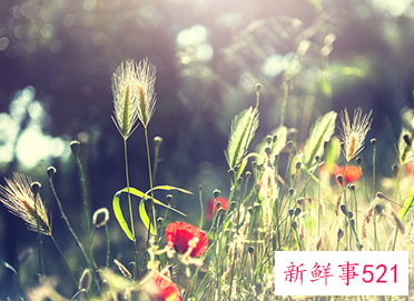 偏财格女人是几等格局