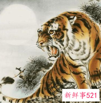 属虎人最该防谁