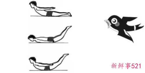 腰背肌肉训练方法是什么