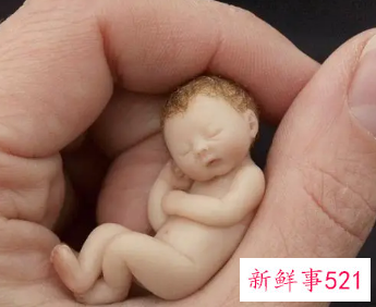 带山字名字男孩子