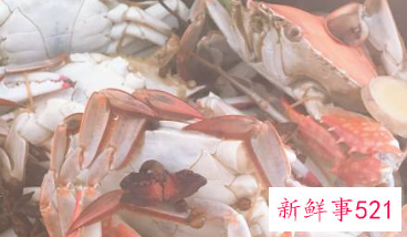 蒸螃蟹怎么吃法蘸料