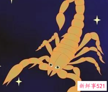 天蝎2022年的运势