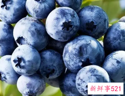 2月份的蓝莓可以吃吗