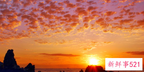 小技巧成就诱人简历