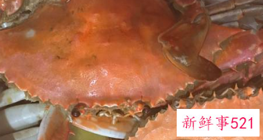 蒸螃蟹怎么吃法蘸料