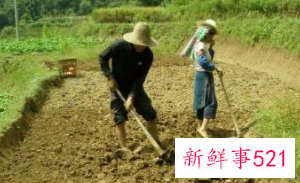 梦见挖沟是什么意思